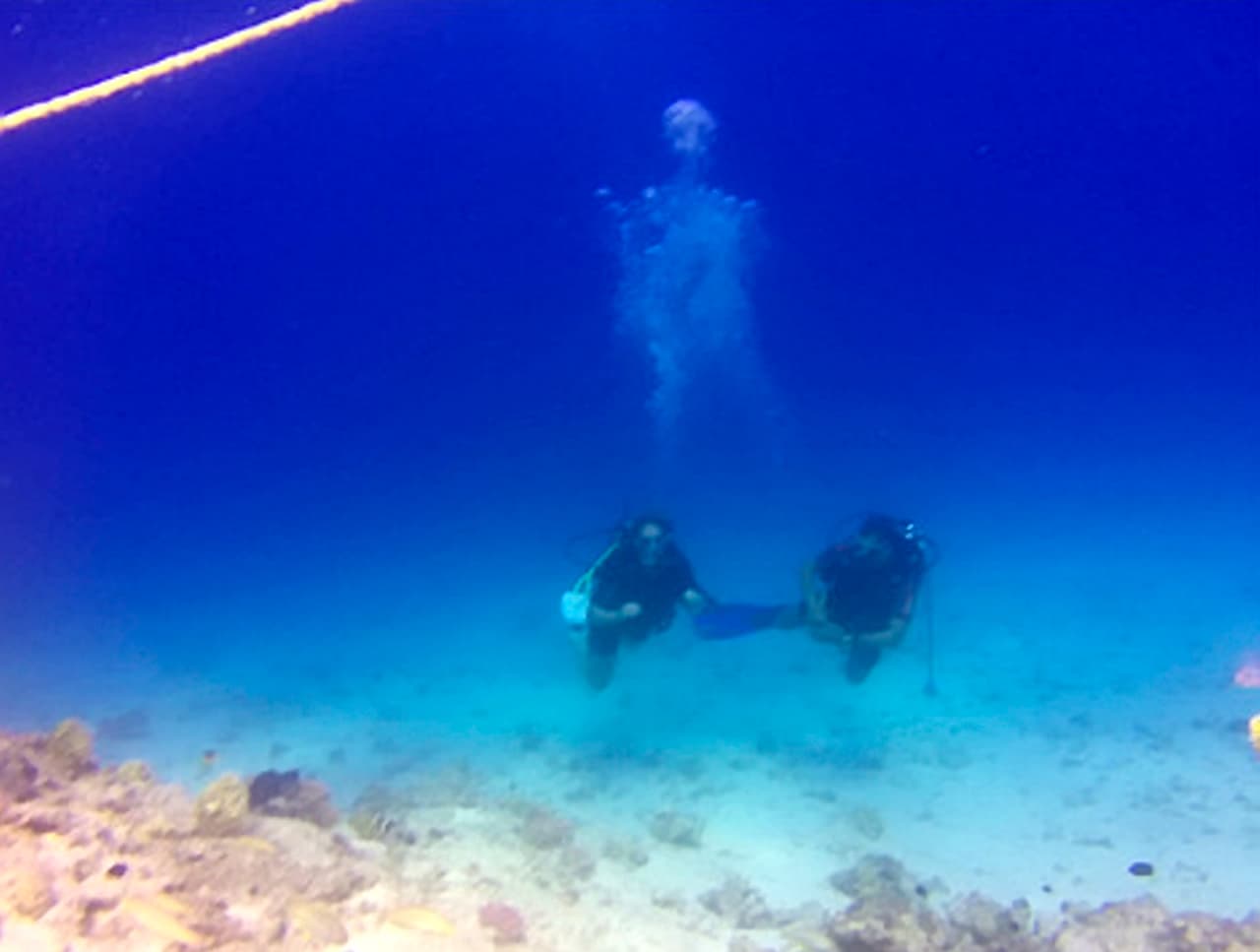 Harris presumió la extraña imagen en donde se puede ver claramente que las burbujas forman un esqueleto encima de él y su acompañante bajo el agua. ¿Señal sobrenatural o mera casualidad? La curiosa imagen ahora ha dado la vuelta al mundo.