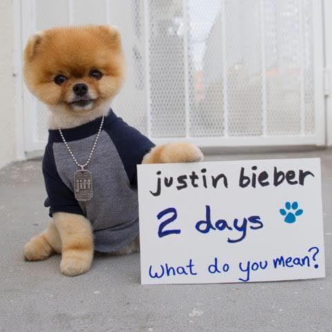“What Do You Mean? #2Days”- Justin Bieber.