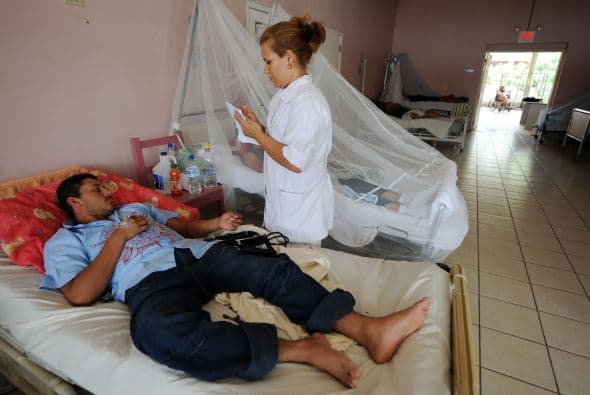 El dengue se contagia a través del piquete del mosquito, aedes aegypti.