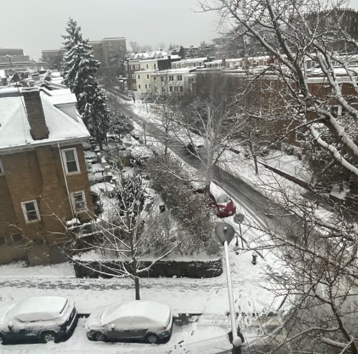 Los usuarios de Univision compartieron la vista de la nieve desde sus apartamentos o casas.