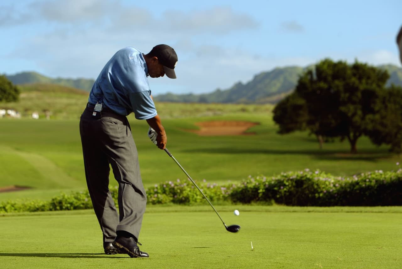 Para 2001 publicó el libro '¿Cómo jugar al golf?', que con más de un millón de copias se convirtió en el más vendido de ese deporte.