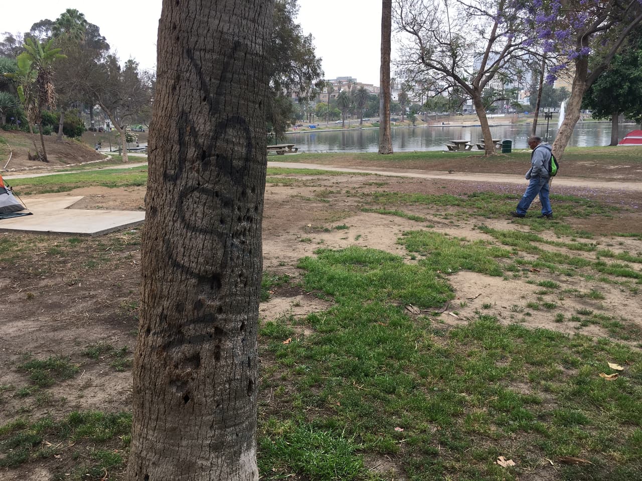 Estos son los parques de los que la Mara Salvatrucha se adueñó a punta de balazos en Los Ángeles