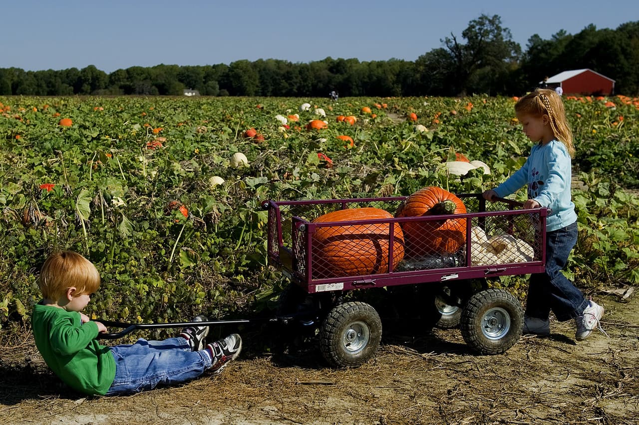 Terhune Orchards, Princeton. Teléfono: (609) 924-2310