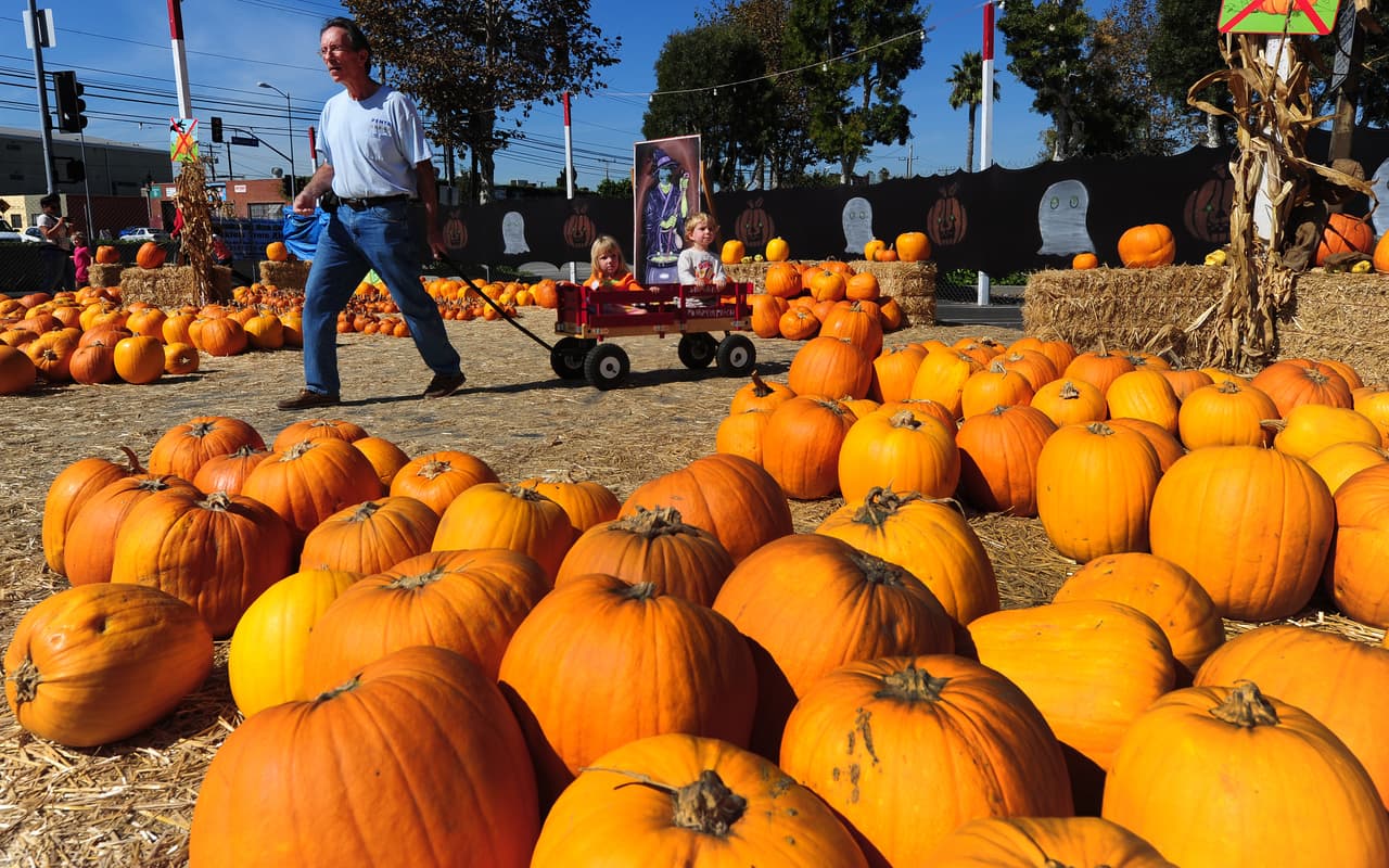 ¡A continuación una lista de granjas en Nueva Jersey en donde puedes escoger la perfecta calabaza para celebrar Halloween!