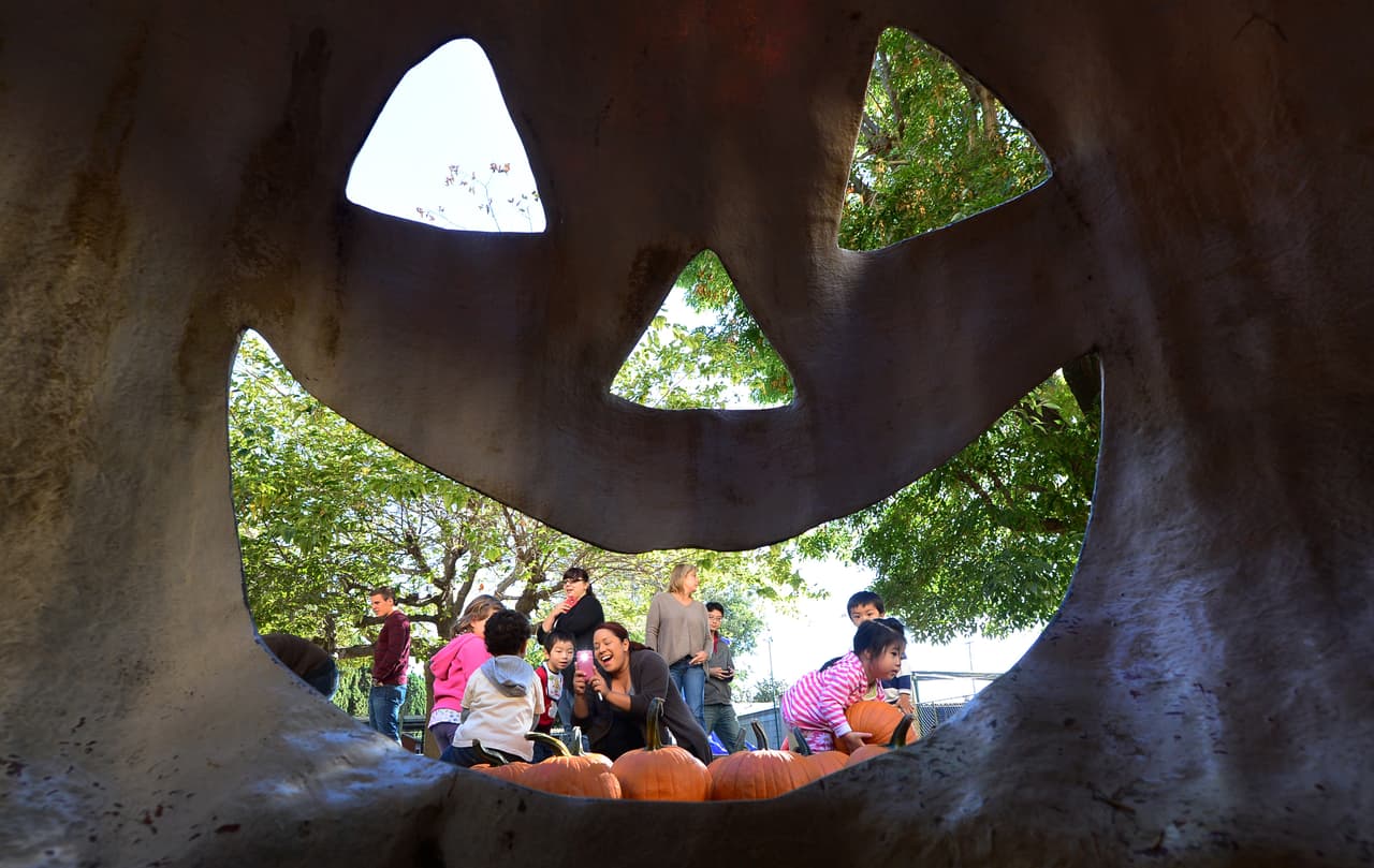 Demarest Farms, Hillsdale. Teléfono: (201) 666-0472