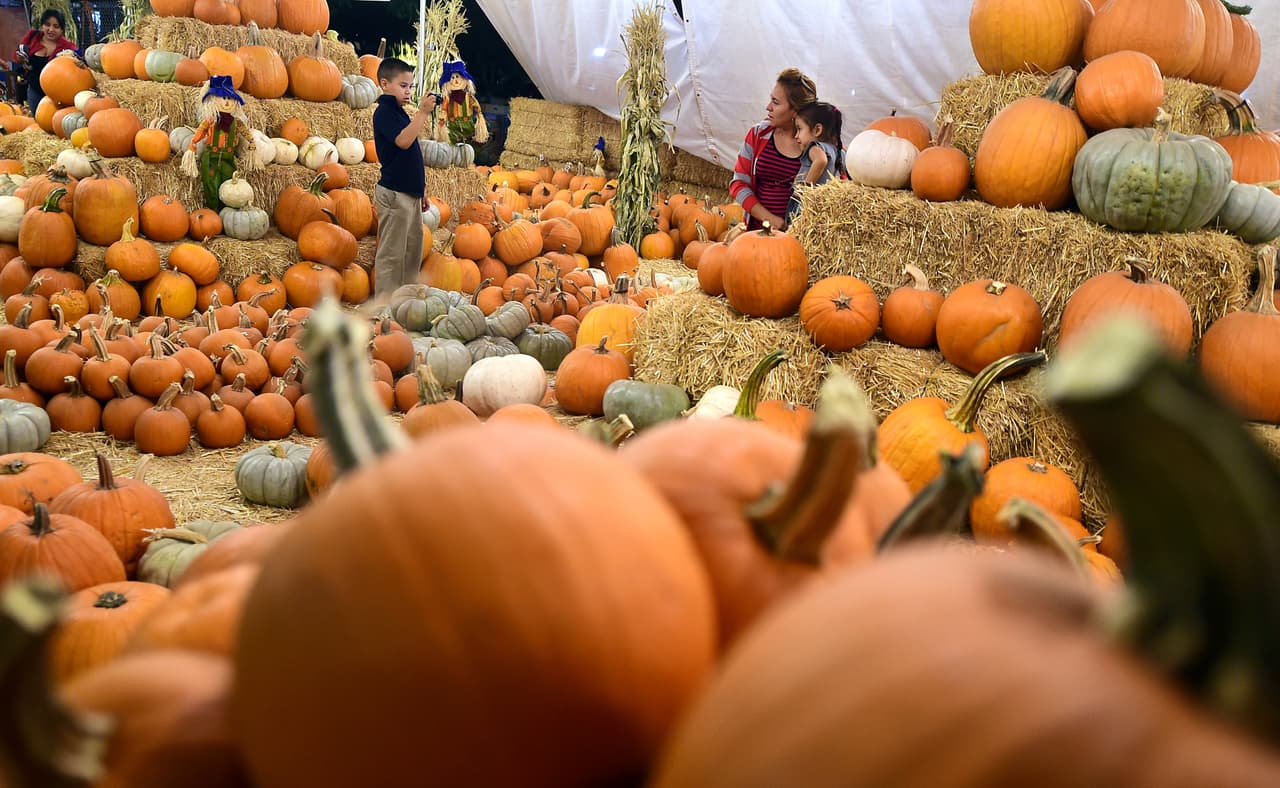 Heaven Hills Farm, Vernon. Teléfono: (973) 764-5144