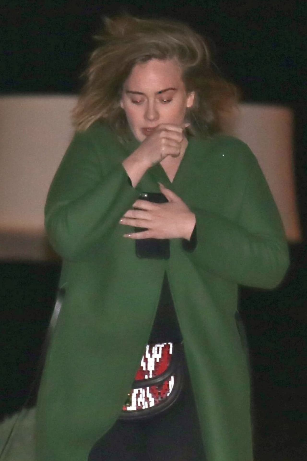 Parecía que el frío le estaba jugando un mal momento a Adele.