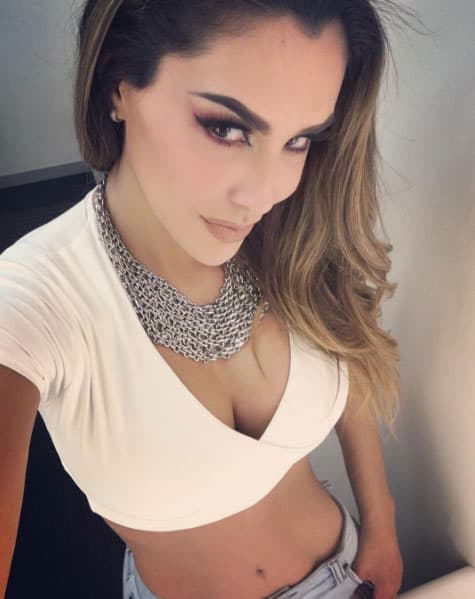 Ninel Conde no deja de delitar a los caballeros con tremendo cuerpazo.
