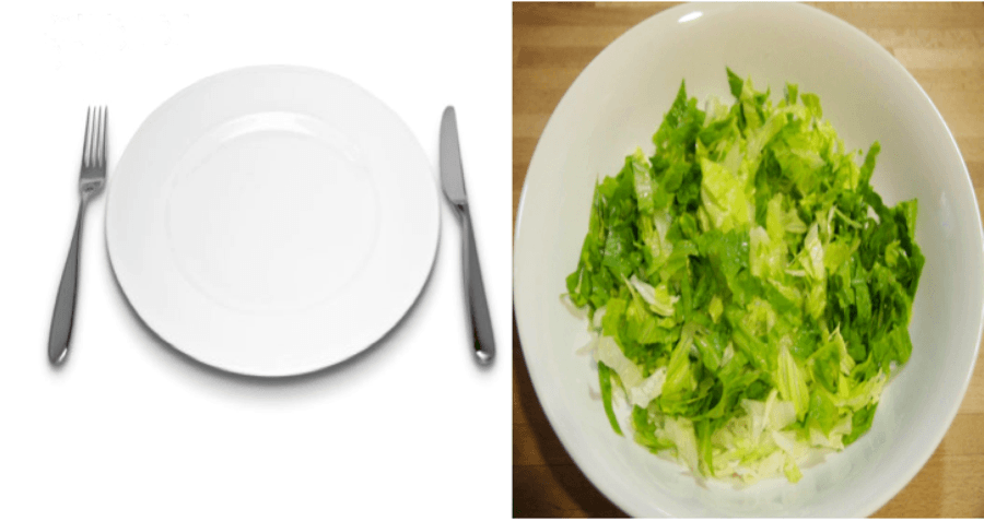 2) A los 6 meses de sembrar tu propia lechuga.