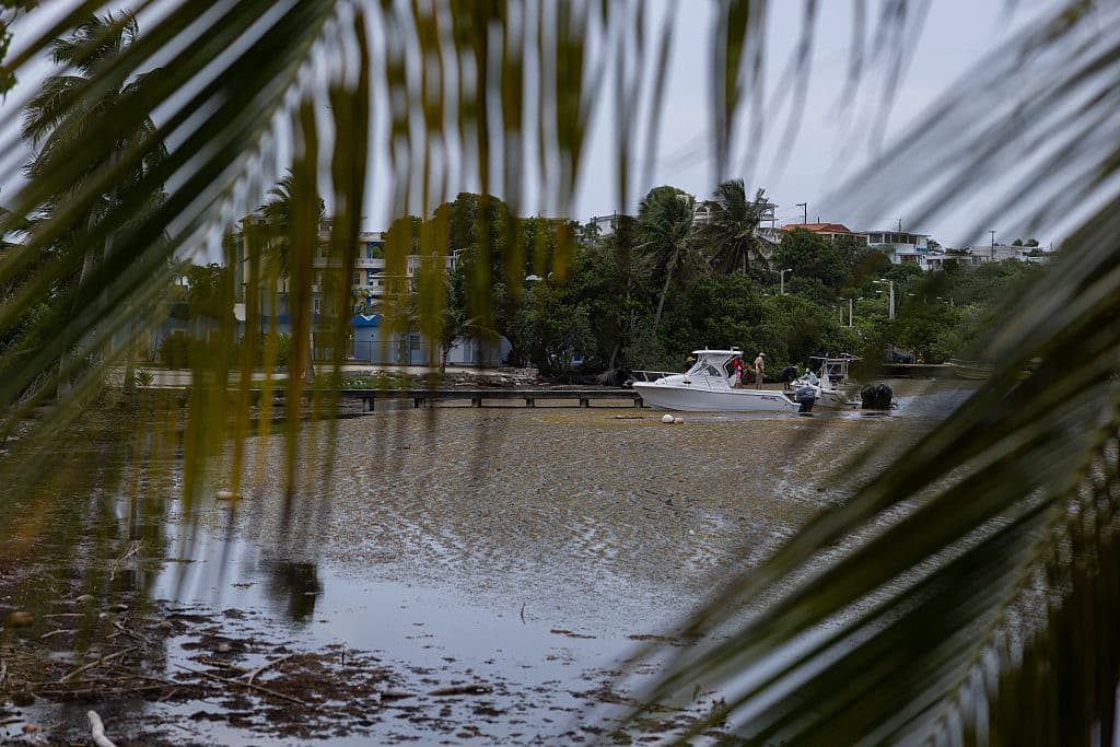 <b>Las costas de Puerto Rico ya muestran los efectos: </b>Desde mediados de mayo, playas como Playa Santa en Guánica y Punta Santiago en Humacao reportan grandes acumulaciones de sargazo, generando molestias entre residentes y visitantes.
<br>