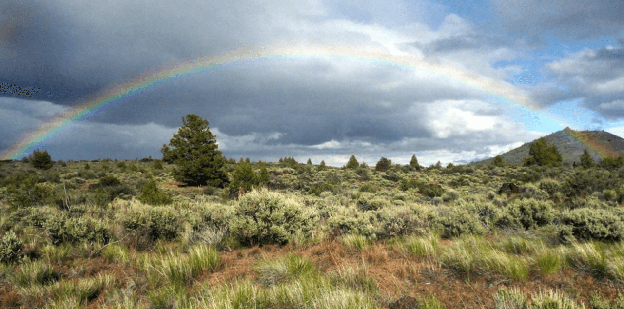 <b>Lava Beds </b>es un Monumento Nacional perteneciente al Servicio de Parques Nacionales ubicado en el condado de Siskiyou, al norte de California. El lugar está salpicado de vestigios de erupciones volcánicas y muestras de arte rupestre de los nativos americanos. 
<b>Es una tierra que mezcla geología con historia, pues también puedes avistar algunos sitios que fueron campos de batallas en el pasado</b>. Durante el año, la entrada cuesta 25 dólares por vehículo, así que ésta es una oportunidad para recorrer el Parque de manera gratuita.
