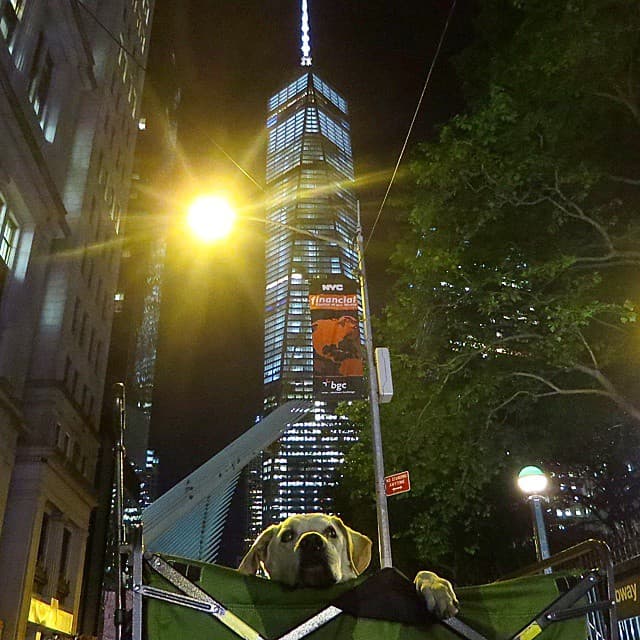 Aunque no saben cuánto tiempo le queda de vida, están haciendo que sus últimos días sean los mejores.