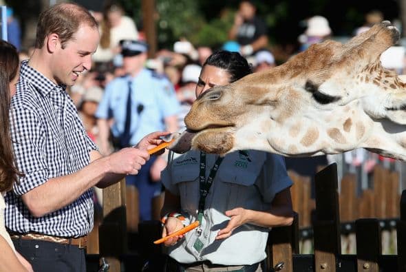 También el duque mostró empatía con los animales.