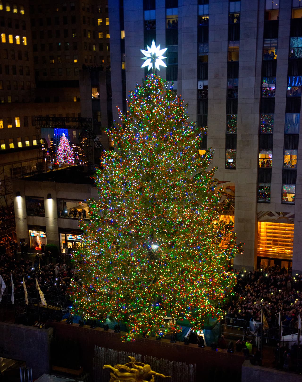 El árbol recorrió centenares de kilómetros para llegar desde el norte de NY hasta el Centro Rockefeller.