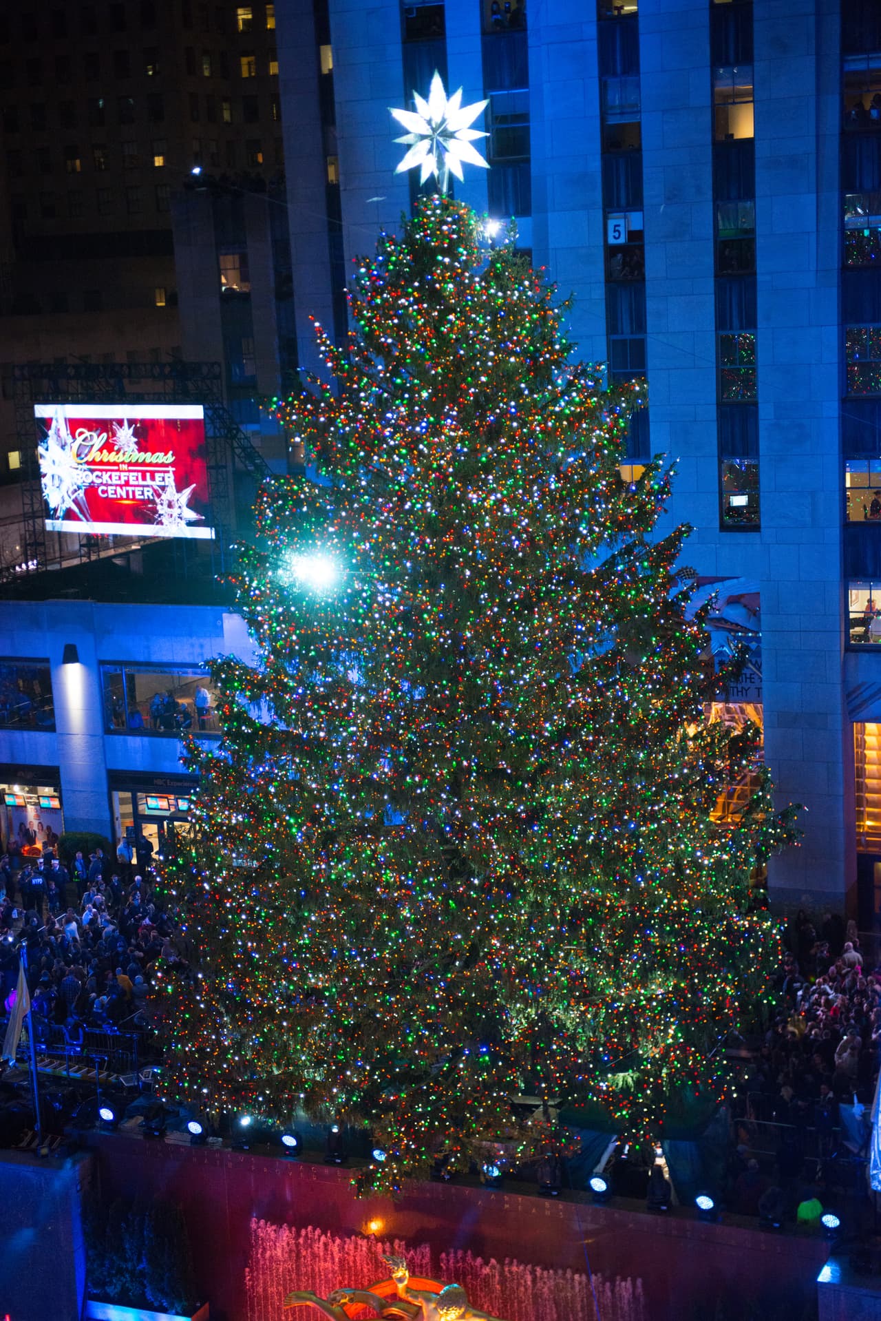 Autoridades no escatimaron en la seguridad durante el evento, reforzada luego de los atentados en París, Colorado y, el más reciente, en San Bernardino, California.