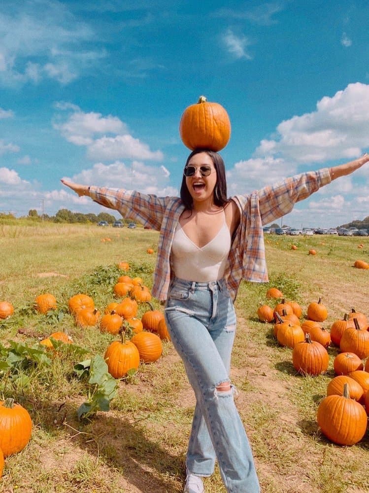 <b><a href="https://hodgesfarmnc.com/">Hodges Family Farm (Charlotte)</a></b>. Hodges Family Farm es otra granja de propiedad y operación familiar, que también figura en el Registro Histórico Nacional. Aunque originalmente era una granja lechera cuando se estableció por primera vez hace más de 100 años, ahora es una granja educativa que ofrece excursiones, una variedad de eventos anuales y programas educativos sobre agricultura y animales de granja. Cada octubre, también organizan un huerto de calabazas con visitas guiadas, paseos en carruajes, recoger sus propias calabazas y una montaña gigante de heno para escalar.
<br>
<br>
<b><a href="https://g.page/HodgesFarm?share">Cómo llegar</a></b>