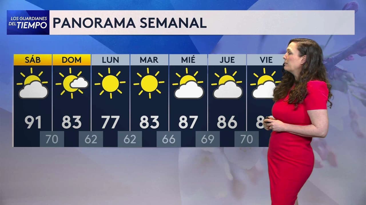 Pronóstico del tiempo hoy en Nueva York: Día caluroso sin precipitación; el termómetro alcanzará 90 °F