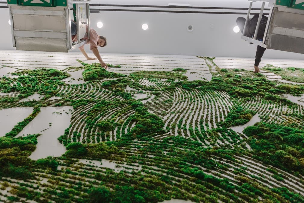 Este fue un mural elaborado por esta pareja en Nueva York.