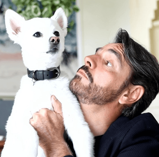 "Por defender a unos perros de unos tipos que estaban poniendo a pelear unos perros y me metí".