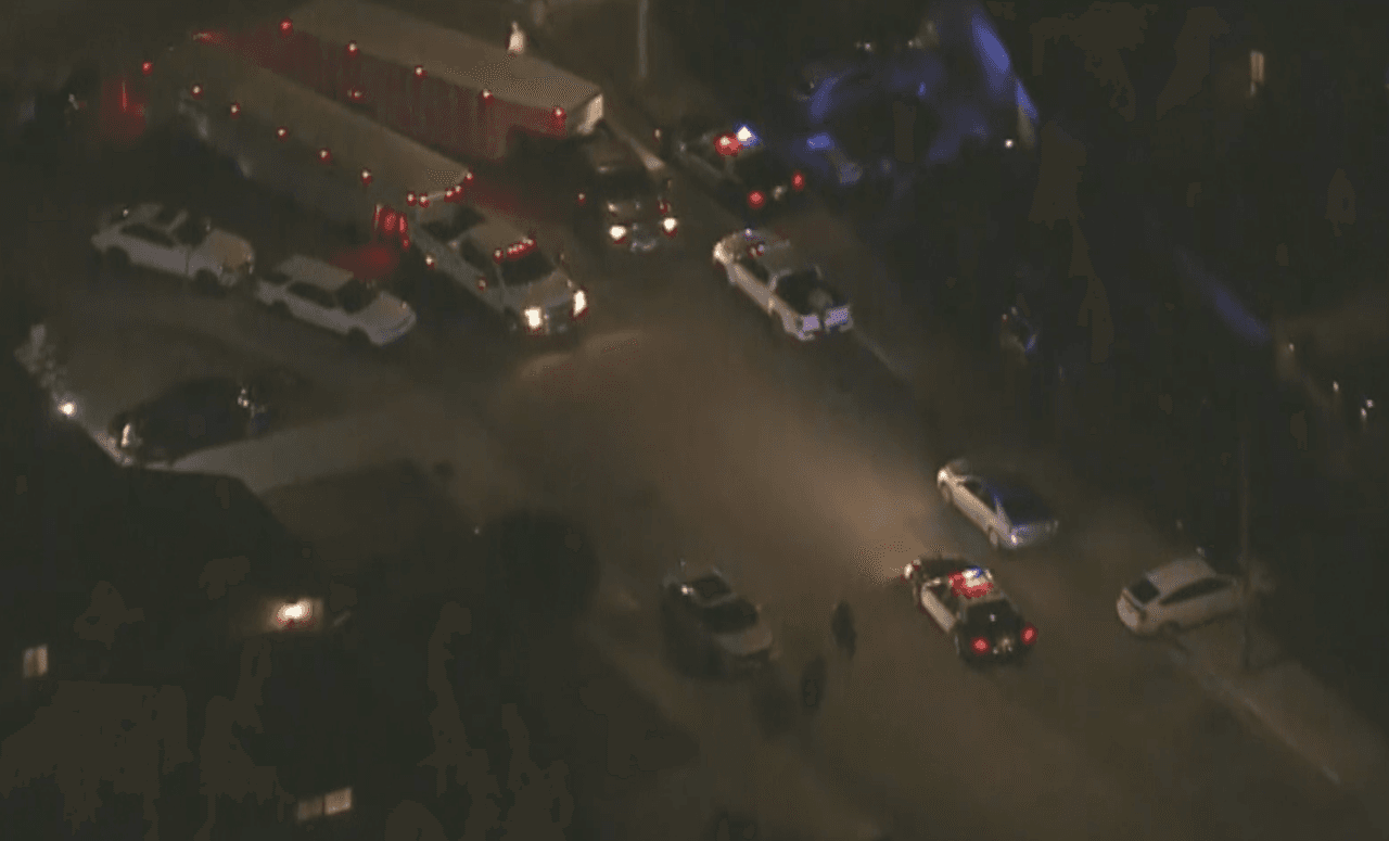 Alguaciles de Los Ángeles trataron de agrupar al ganado y en un momento lograron reunir casi 30 bestias, pero el éxito duró pocos minutos, ya que la manada se dispersó por el vecindario rápidamente.