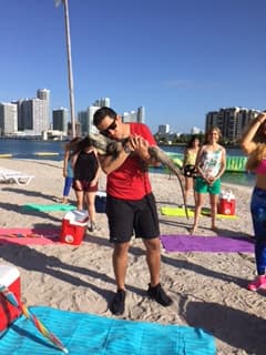 Todos estaban sorprendidos de la buena química que habían logrado Alejandro y la iguana.