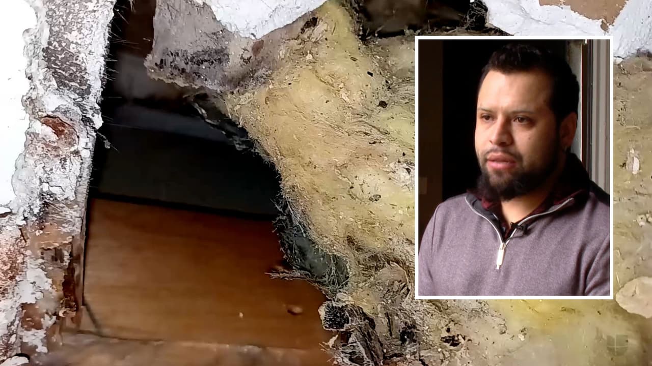 “Me dio una infección en los ojos”: vecino halla 6 tipos de moho en su apartamento en Dallas