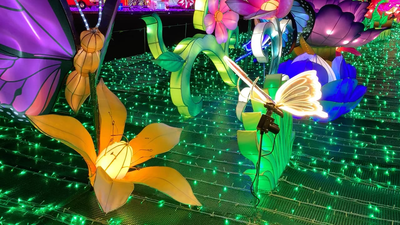 Te lleva más o menos entre 45 minutos tal vez una hora en llegar al festival desde Houston dependiendo del tráfico.