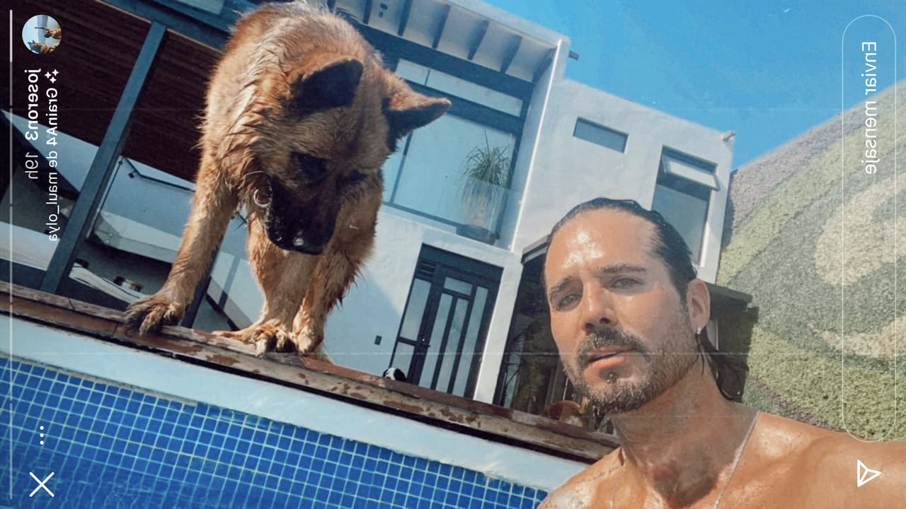 Por eso, dejó la Ciudad de México y se dirigió a Valle de Bravo, un lugar de descanso a dos horas, en carro, de la capital mexicana, en donde suele
<b><a href="https://www.univision.com/programas/novelas/conoce-a-las-mascotas-de-los-famosos-de-television-mas-consentidas" target="_blank"> pasar el tiempo con sus mascotas</a></b> cuando no se encuentra en grabación de algún proyecto.