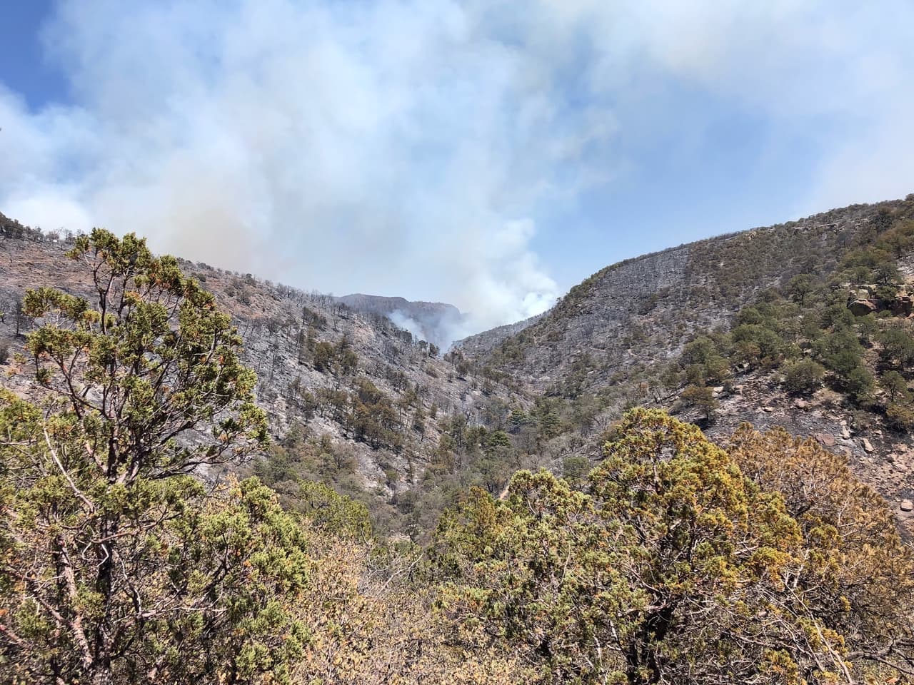 El 
<a href="https://www.univision.com/local/san-antonio-kwex/el-big-bend-en-texas-el-parque-ideal-para-escapar-de-la-pandemia-de-coronavirus-fotos">Parque Nacional Big Bend</a> se encuentra ardiendo por incendios forestales desde hace una semana.