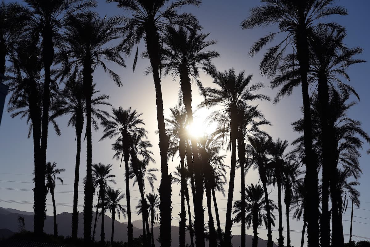 Un clásico de Coachella