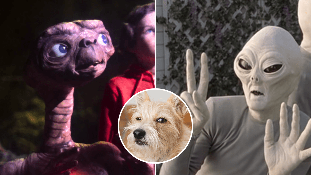 Los supuestos aliens que más risas causaron en Internet: el de Jaime Maussan no es el único