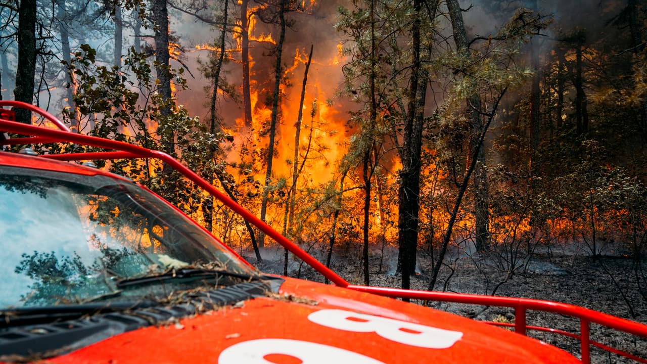 Incendio Forestal Buckabear crece a 90 acres en Nueva Jersey con un 20% de contención