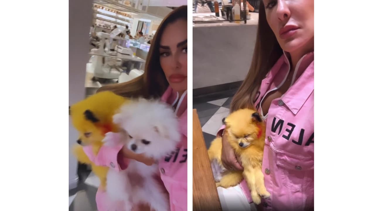 Ninel Conde con el "perrito Pikachu".