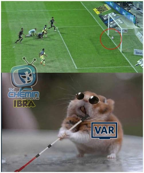 Tigres sale dañado en su pelea con los memes y las redes sociales se burlan de los regios.