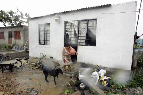 En el Estado de México se calcula que son 3 millones y medio los perros callejeros.