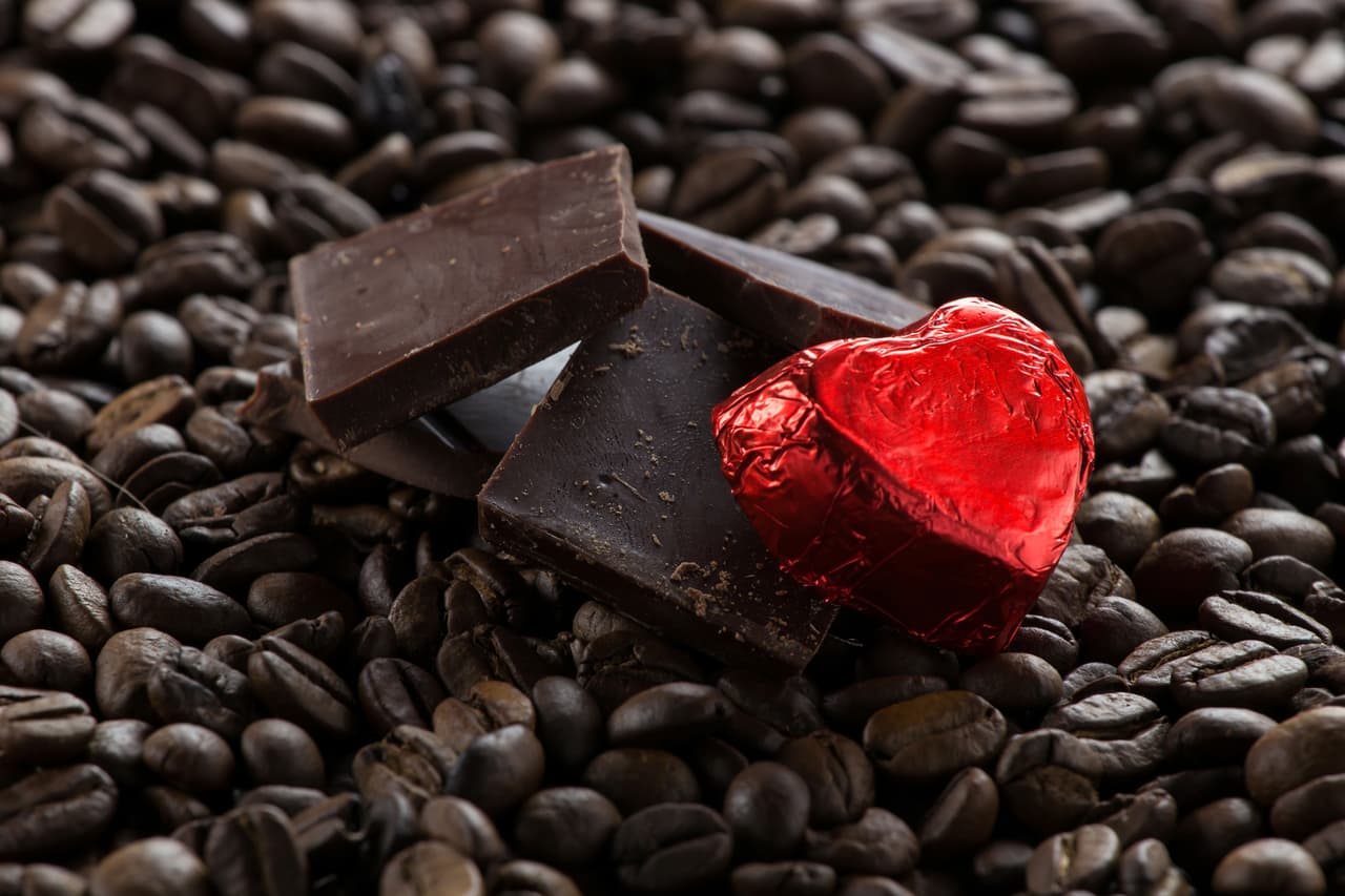 ¿Te gusta incluir pollo, lácteos, huevo, té verde, chocolate, nueces, pescado y mariscos a tu dieta? Estos alimentos son perfectos para acabar con el duelo por una ruptura.