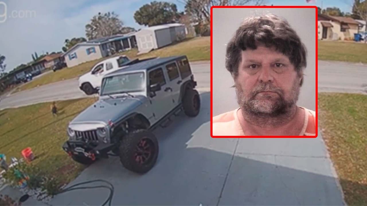 Arrestan a hombre que disparó a tres perros en un vecindario del condado de Pasco: cámara de vigilancia grabó tiroteo 