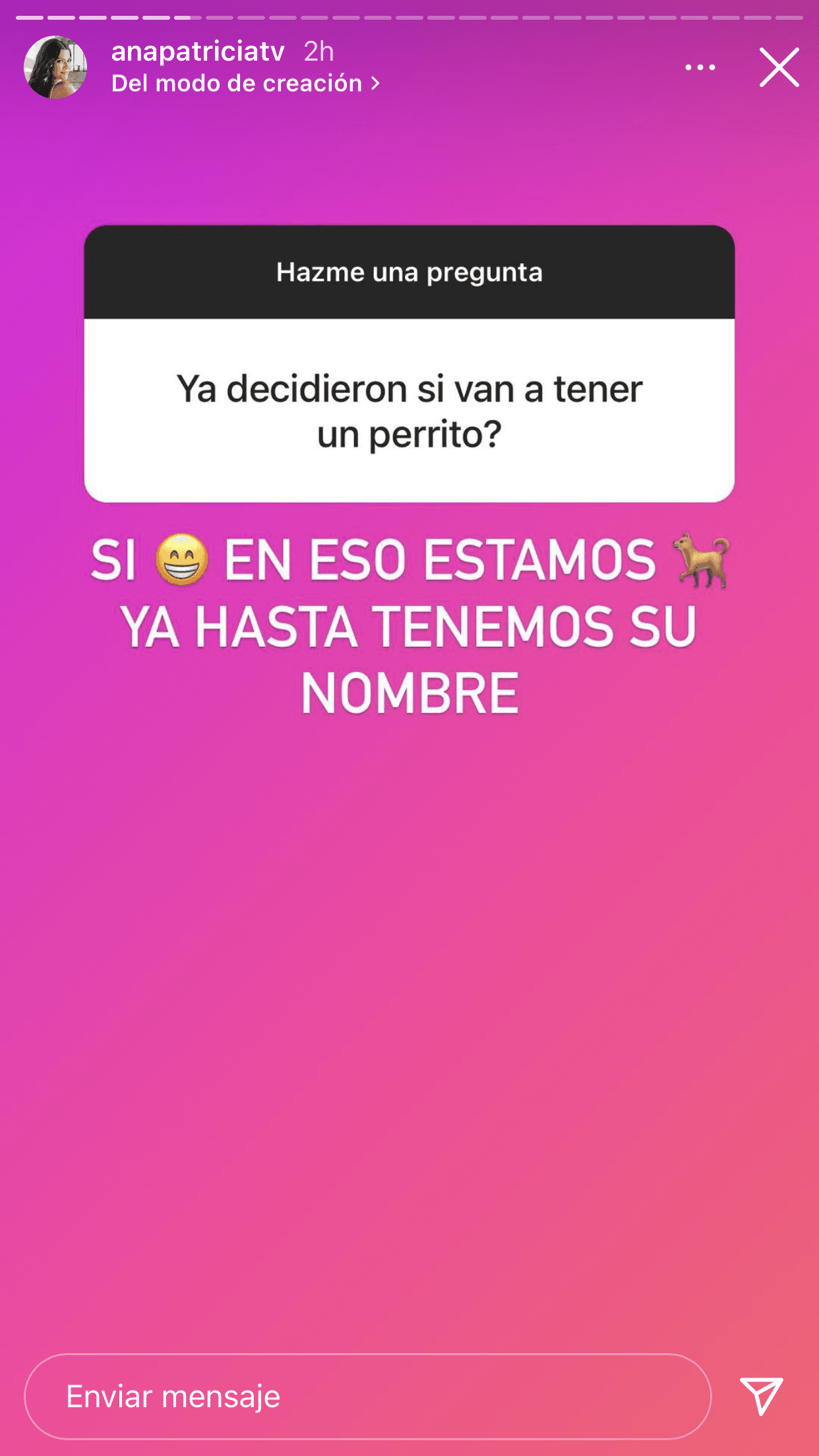 Pero lo que sí harán muy pronto es darle la bienvenida a casa a un nuevo miembro de la familia: un perrito al que ya le tienen hasta el nombre. 
<br>