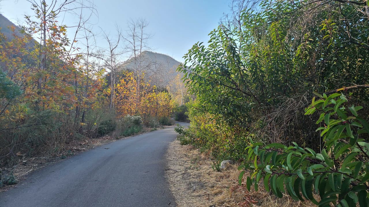 <b>1. Visita senderos naturales con tu familia o amigos: </b>Existen decenas de senderos para caminar, correr, hacer picnic y disfrutar de las maravillosas vistas desde las montañas.