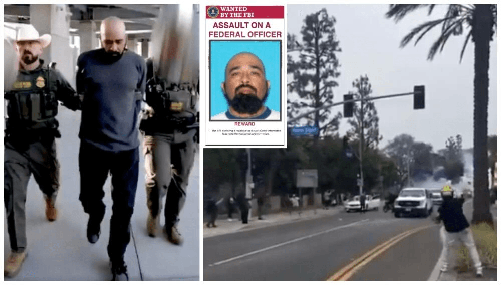 Elpidio Reyna, detenido en Sinaloa, México, se declara culpable de agredir a un agente federal durante protesta contra ICE 