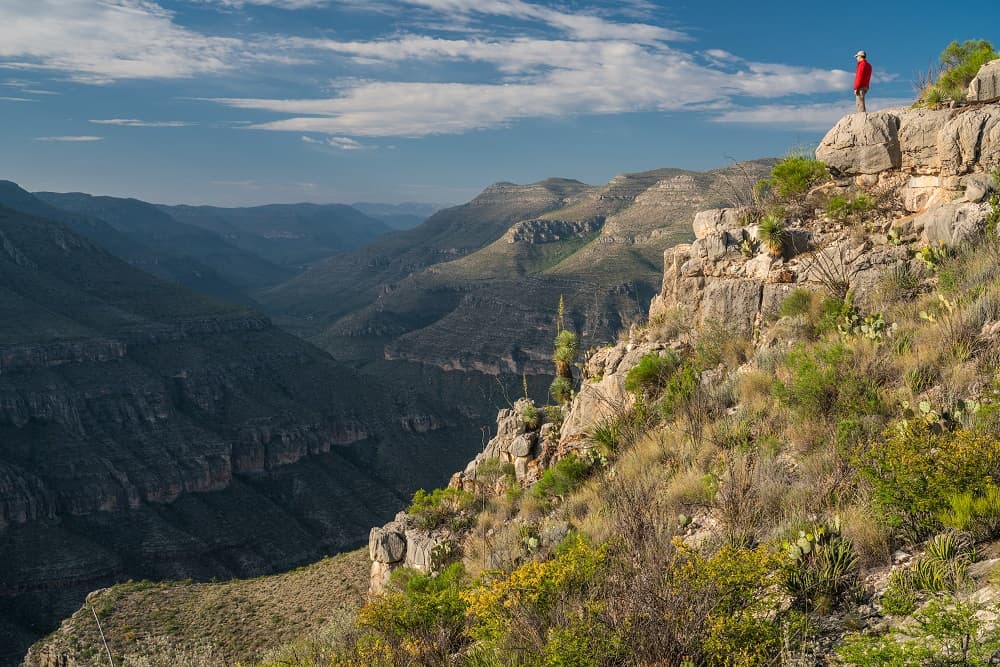Los arbustos y árboles incluyen enebro, almez, mezquite, caqui, pino, álamos, sauces, madroños y robles en las elevaciones más altas, cañones y cauces. En primavera, el paisaje es uno florido.