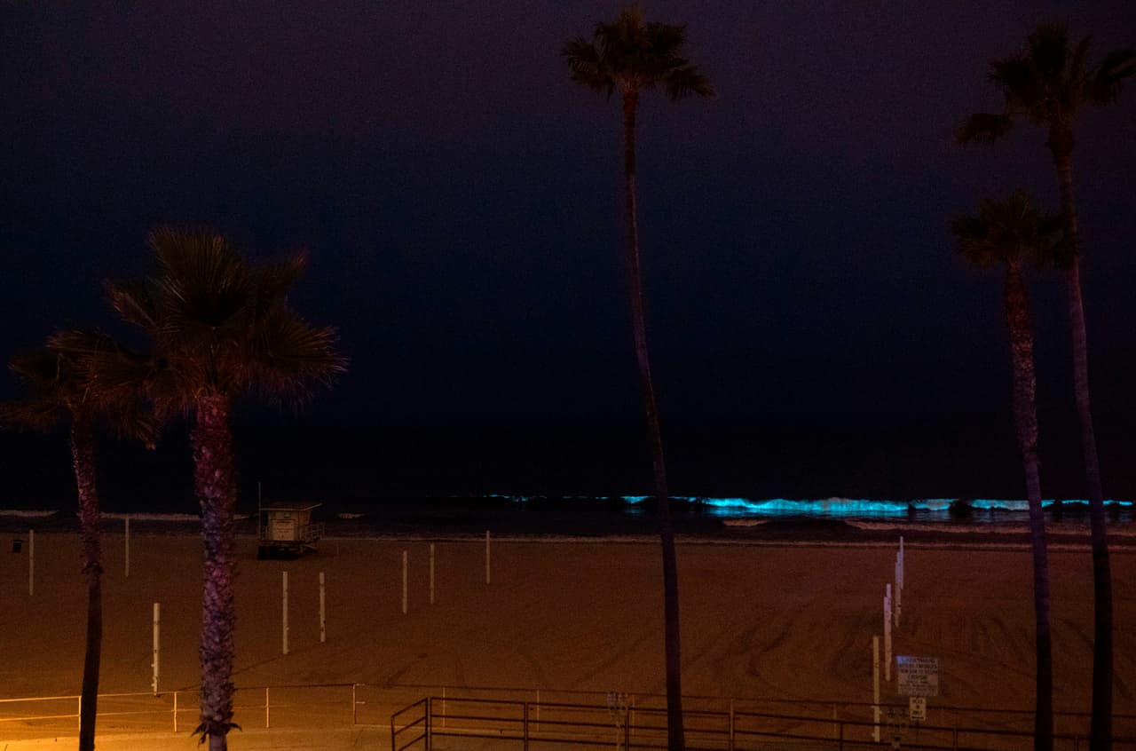 El Departamento de Salud Pública de California tiene un programa voluntario para "monitorear la presencia de fitoplancton que produce toxinas".