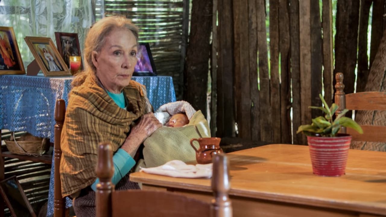 En 2017 participó en la telenovela Sin Tu Mirada, remake de 'Esmeralda', el clásico melodrama de Delia Fiallo. Isela Vega dio vida a Dominga en la historia protagonizada por Claudia Martín y Osvaldo de León. Un año después, actuó en la telenovela juvenil Like, La leyenda.