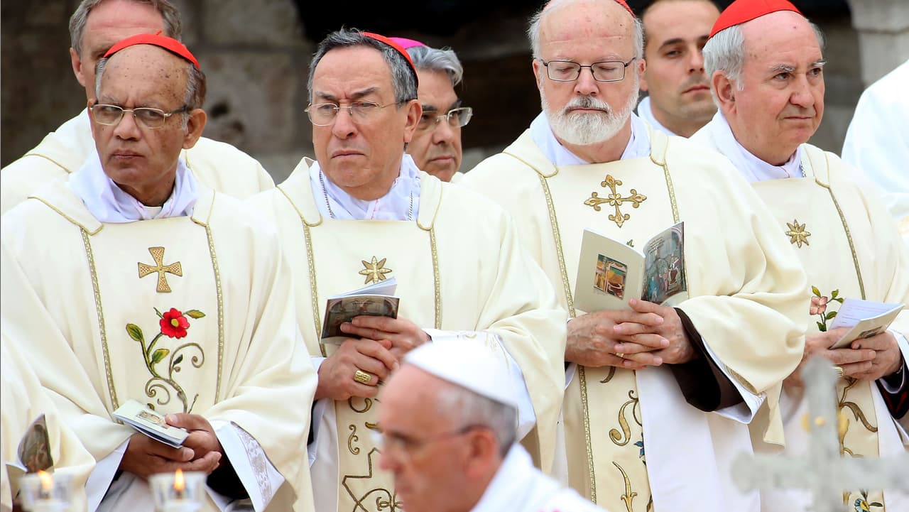 Cardenales del Grupo de los Ocho nombrados por el Papa Francisco.