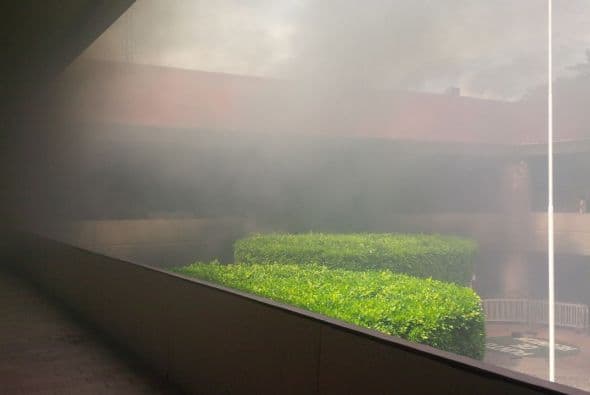 Univision realizó un recorrido por el lugar. El humo impedía la visibilidad. Foto: Guadalupe Álvarez.