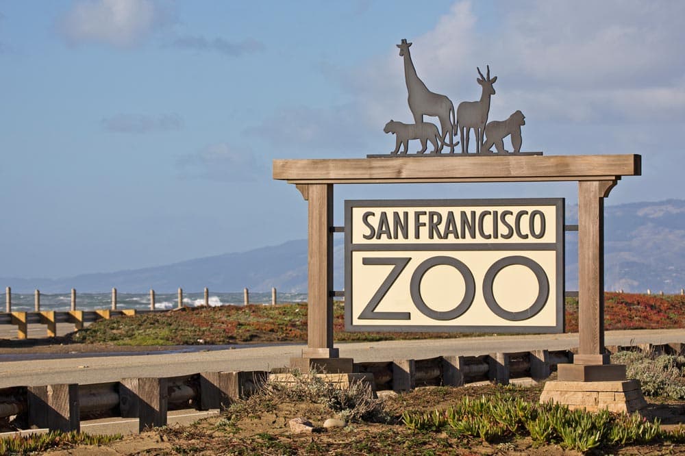 Los funcionarios del zoológico de San Francisco lanzaron un
<a href="https://docs.google.com/forms/d/e/1FAIpQLSco4s_LJmij634Gw3kFHtRyyvCleGcNzTLWelY66ffOFKX0EA/viewform" target="_blank">concurso</a> que le dará la oportunidad a la comunidad de nombrar a los nuevos miembros de su familia: cuatro perritos de la pradera recién nacidos.