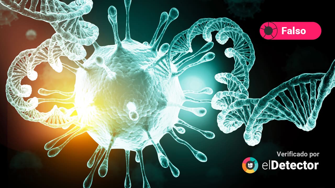 Las vacunas contra el covid-19 NO vuelven a las personas “transgénicas”, como se afirma en redes sociales