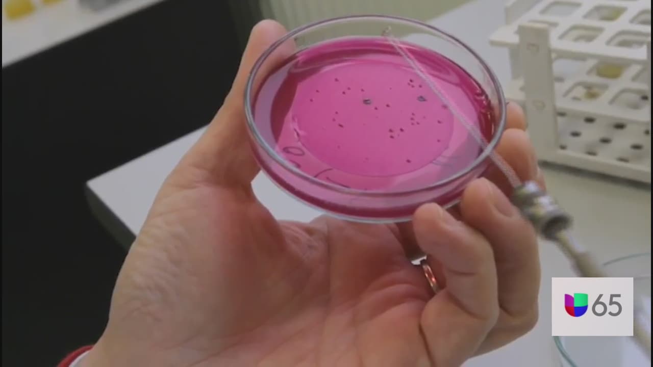 <b>¿Por qué la ciudad recomienda de nuevo el enmascaramiento en interiores? </b>Los funcionarios de salud de Filadelfia recomiendan el enmascaramiento en interiores porque la 
<a href="https://www.univision.com/local/philadelphia-wuvp/dosis-refuerzo-protegerme-variante-delta-coronavirus">variante delta</a> altamente contagiosa ha provocado un aumento en los casos de COVID-19 entre las personas no vacunadas.