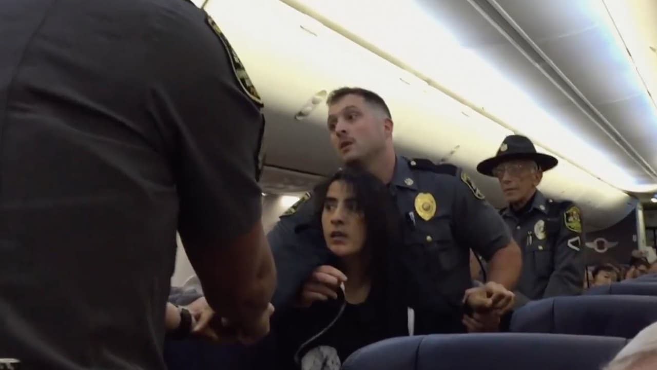 Video: Arrastran a una pasajera de avión que pidió que bajaran dos perros a bordo porque es alérgica