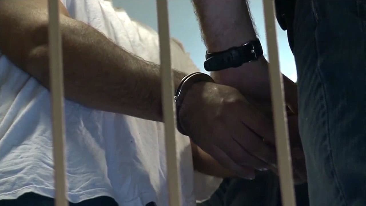 ¿Se basan algunas detenciones de ICE en perfiles raciales? Vocera por derechos de inmigrantes expresa su preocupación
